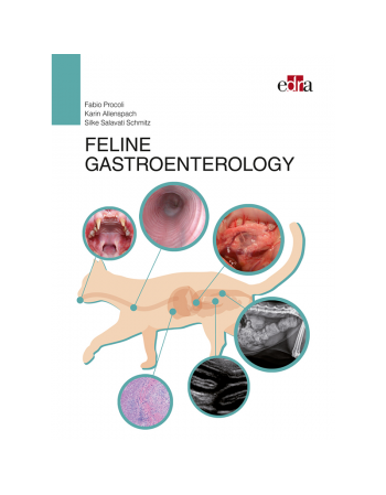 Feline gastroenterology