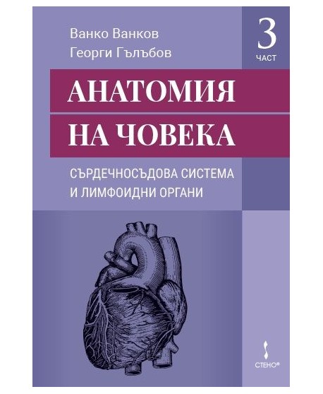 Анатомия на човека Част 3: Сърдечносъдова система и лимфоидни органи