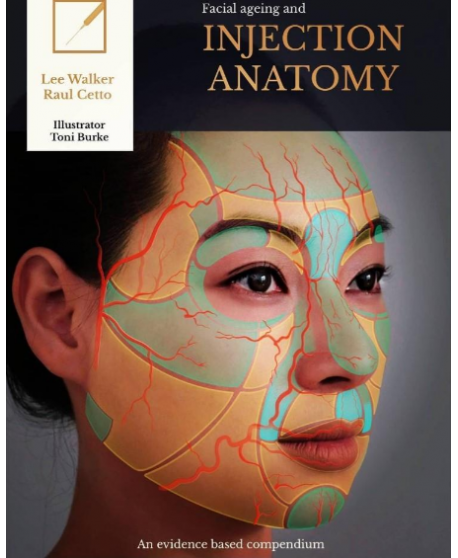 Facial Ageing and Injection Anatomy