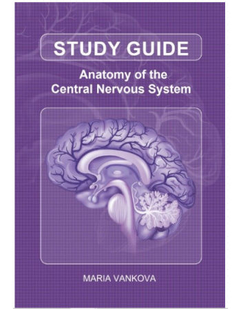 Study Guide for Anatomy of...