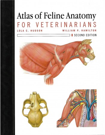 Atlas of Feline Anatomy For...