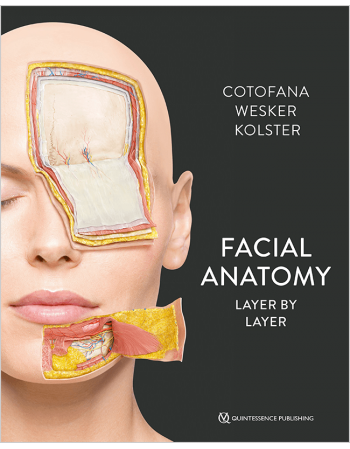 Facial Anatomy Layer by Layer