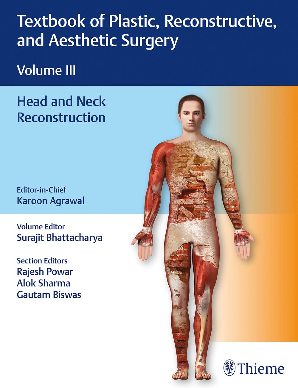 Textbook of Plastic, Reconstructive and Aesthetic Surgery (Vol. 2)